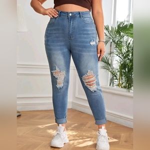Plus High Waist Ripped Frayed Skinny Jeans